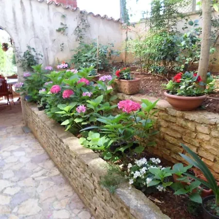 Apartament In With Terrace, Air Conditioning, Wifi, Washing Machine 3360-1 Banjole